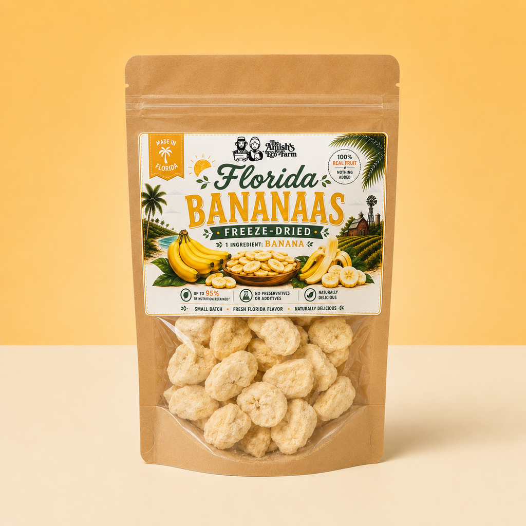 Freeze Dried Banana Chips - 1.6 oz Bag