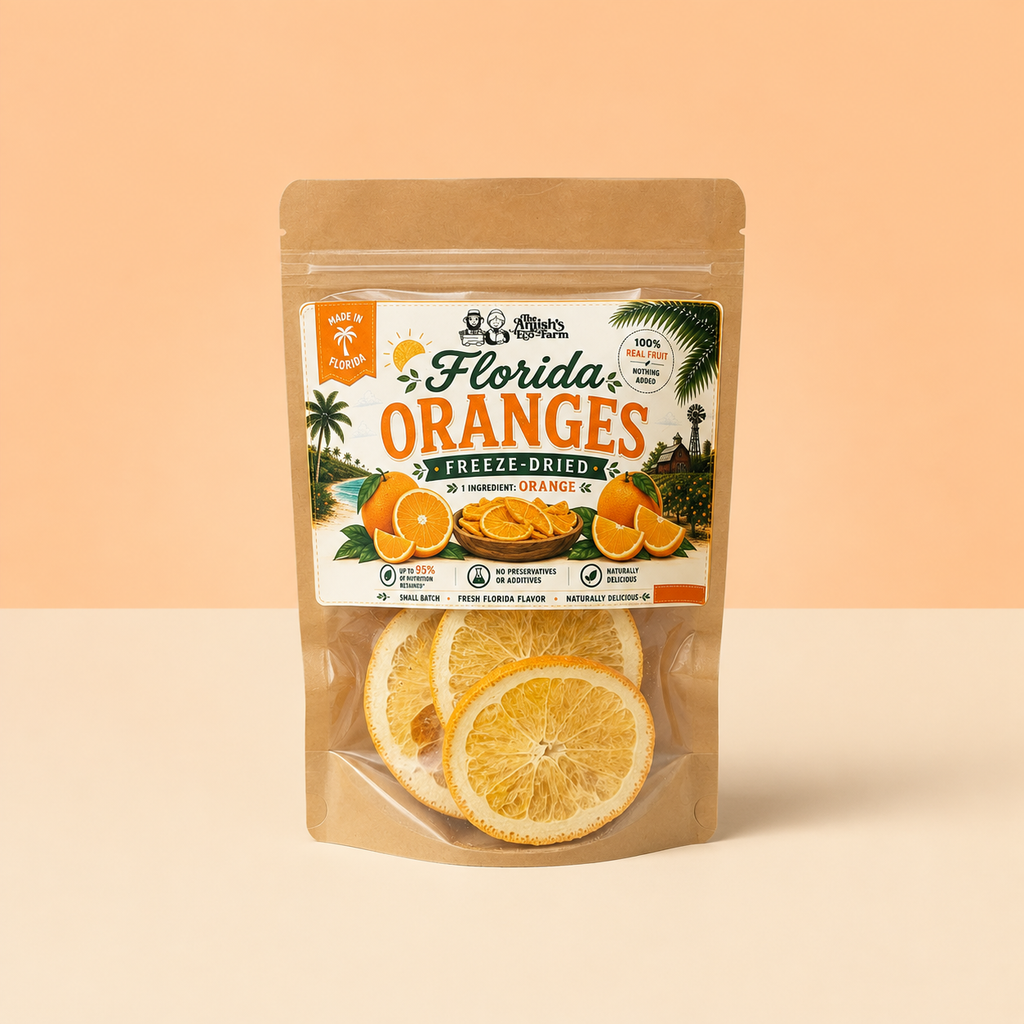 Freeze Dried Orange Slices - 1.05 oz Bag