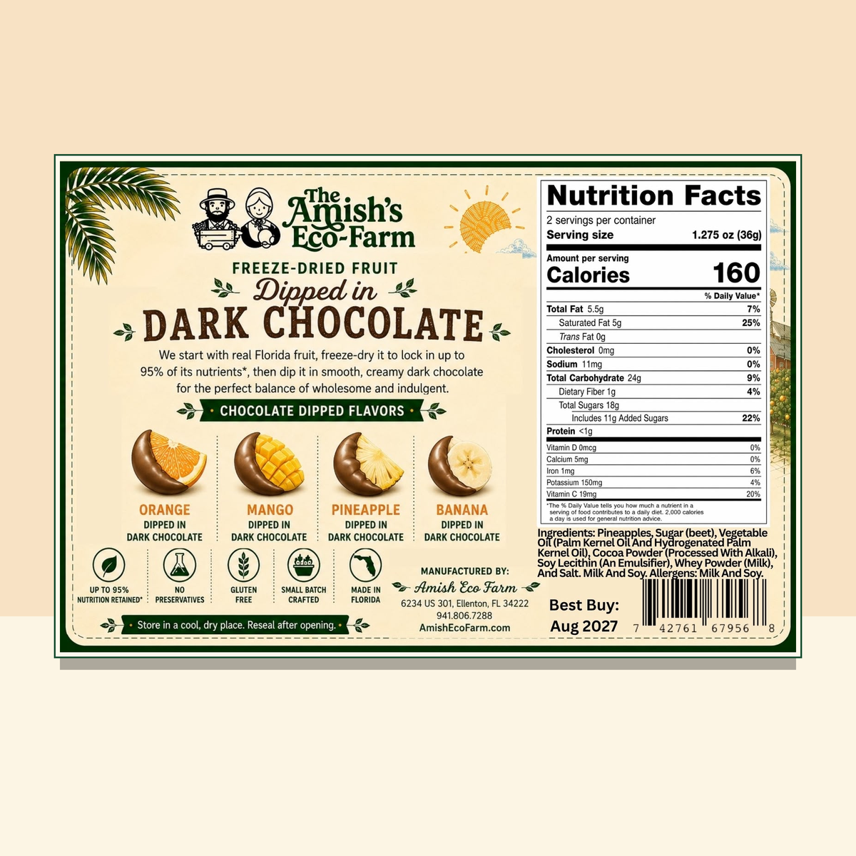 Chocolate Dipped Freeze Dried Pineapple - 2.55 oz Bag